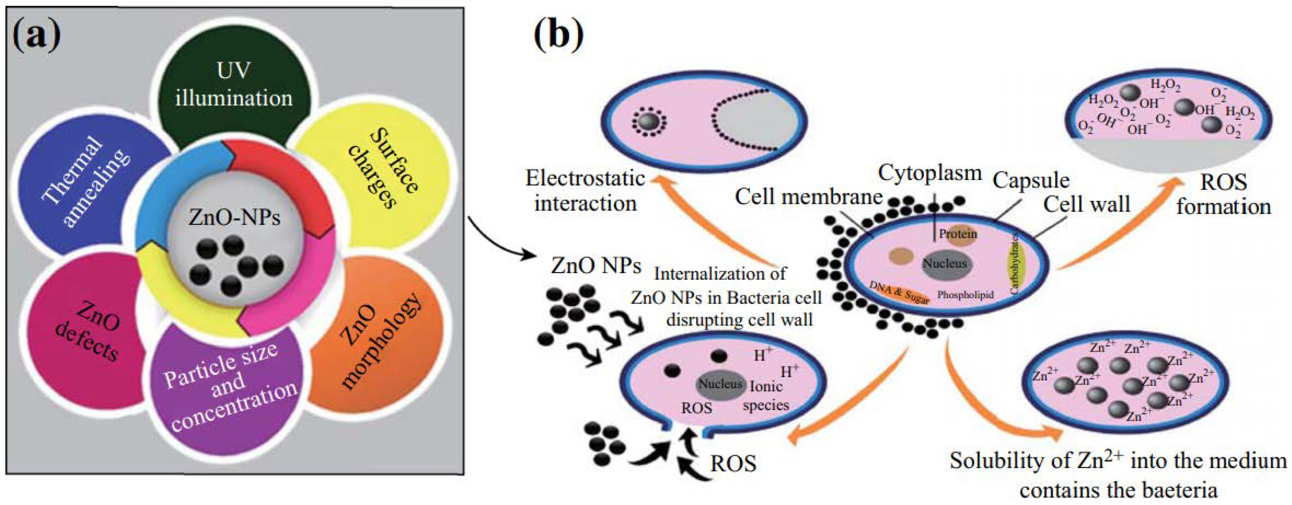 Nanomanufacturing 02 00016 g001