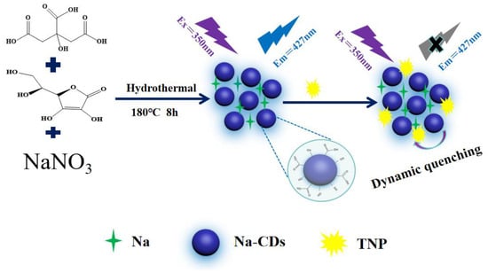 Mechanism of TNP detection by Na-CDs.