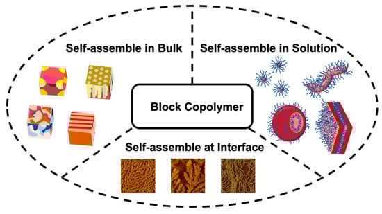 Scheme shows the self-assembled structures of block copolymers and their potential applications.