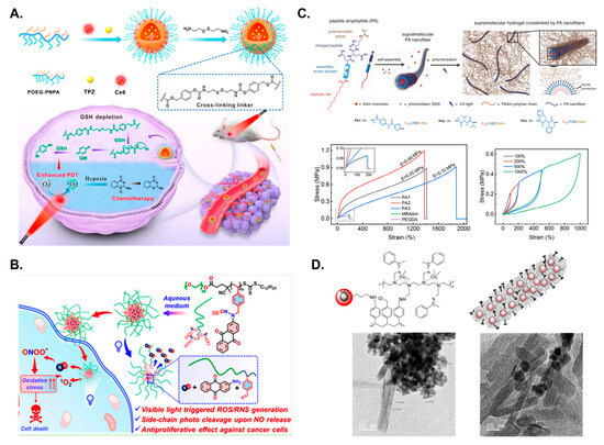 Nanomanufacturing 05 00018 g011