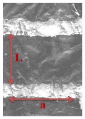 Photograph of PPy film on PE, with silver ink bands as electrical contacts.