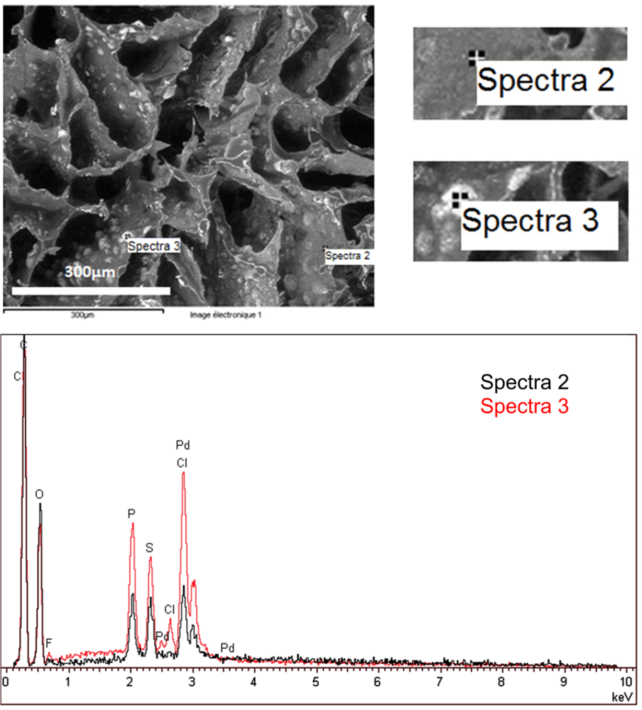 Nanomaterials 02 00031 g001 1024