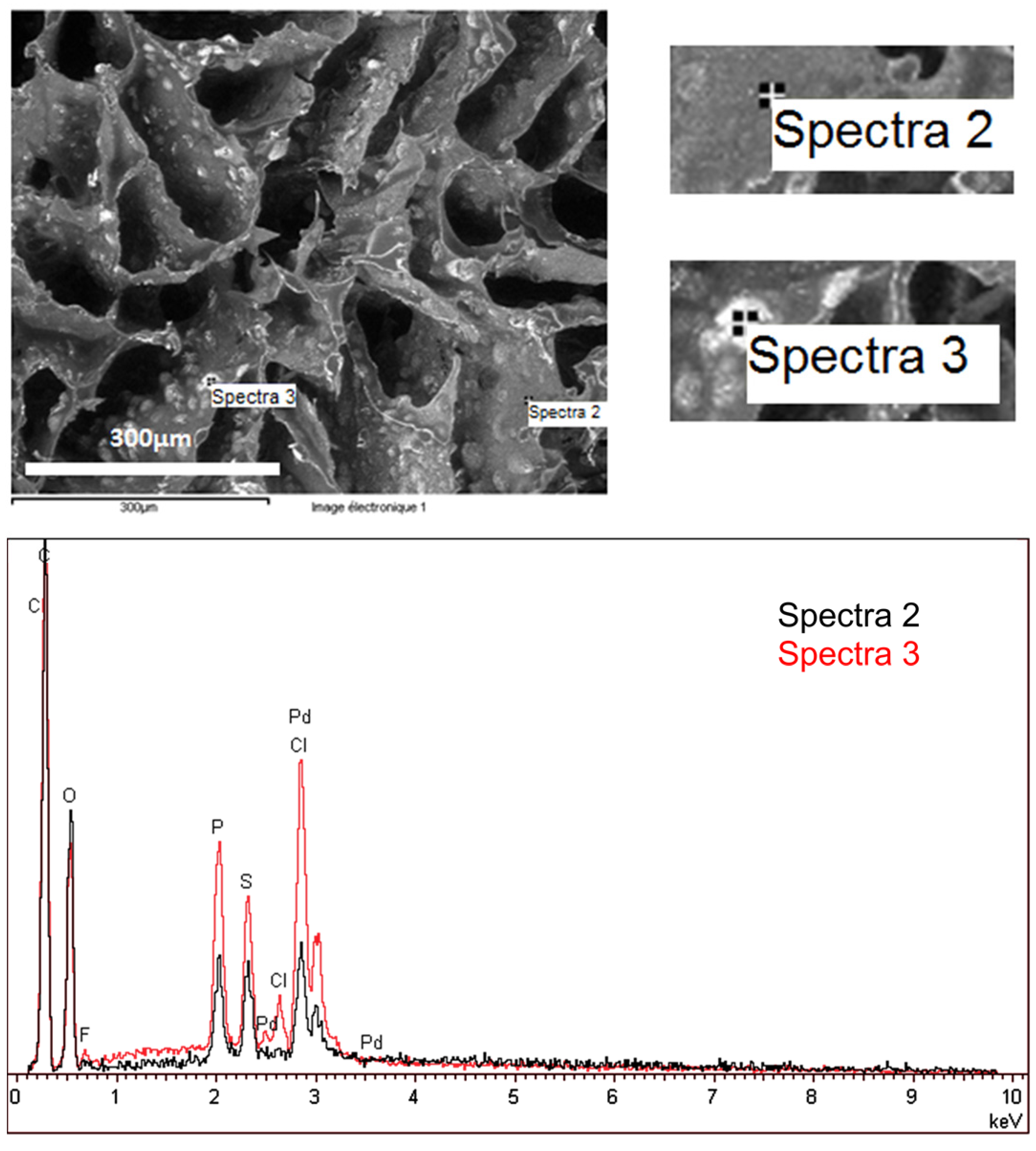 Nanomaterials 02 00031 g001