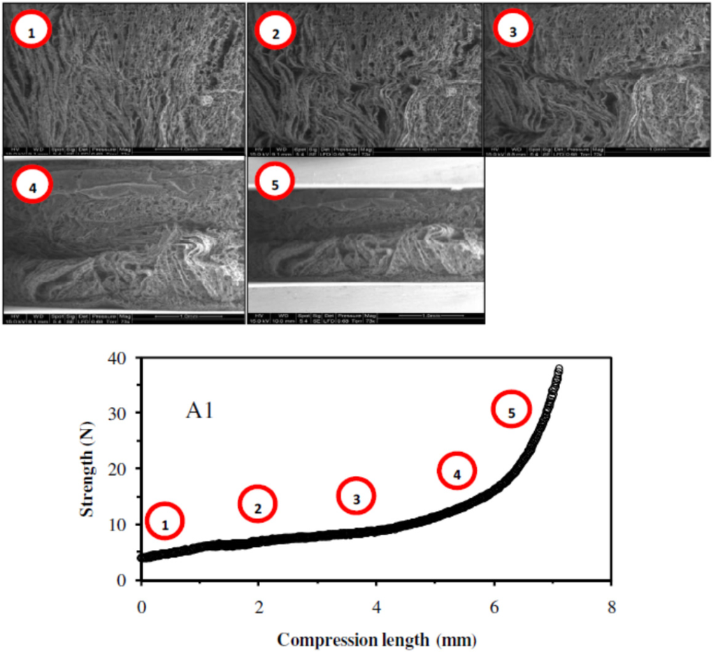 Nanomaterials 02 00031 g003 1024