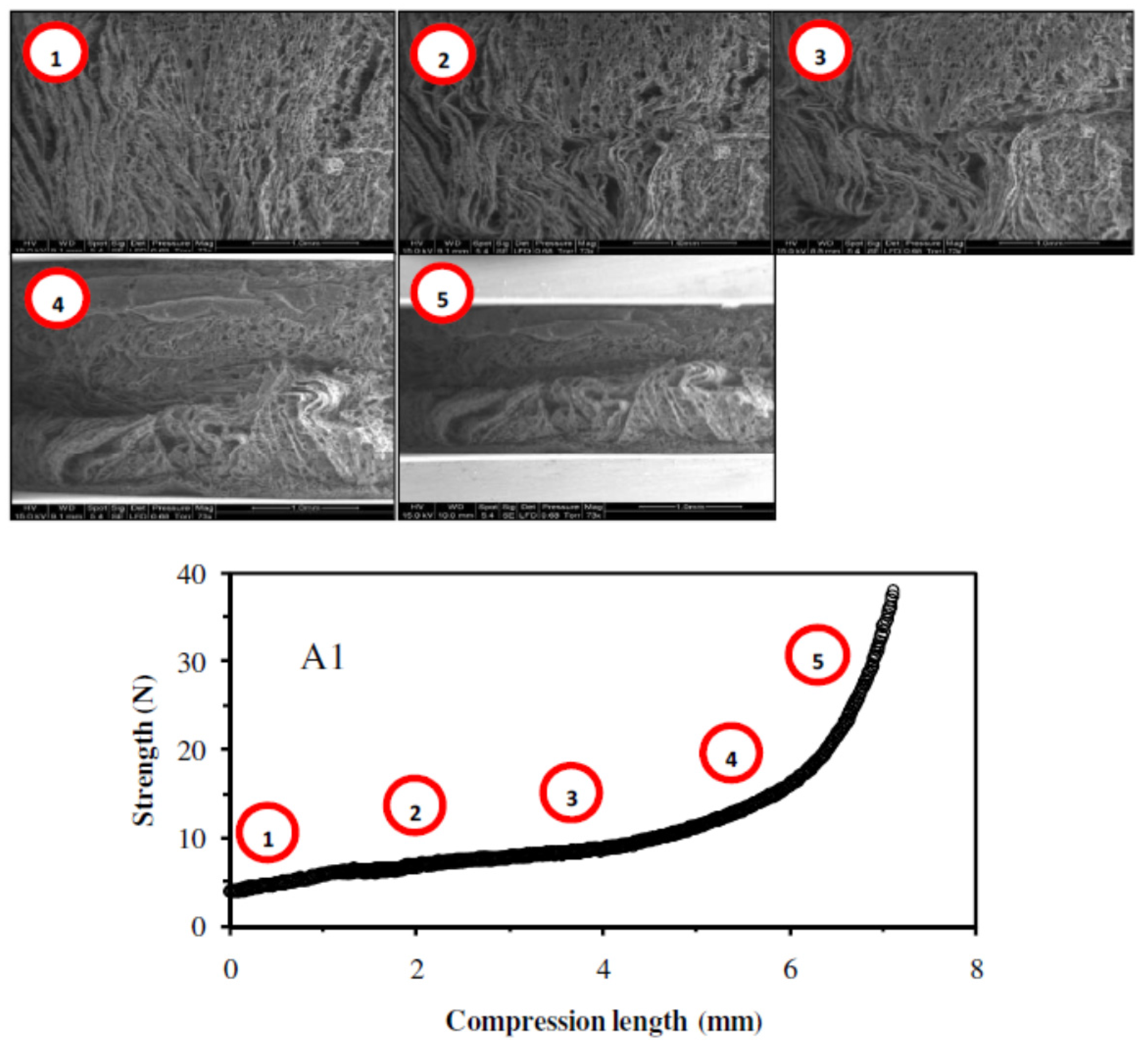 Nanomaterials 02 00031 g003