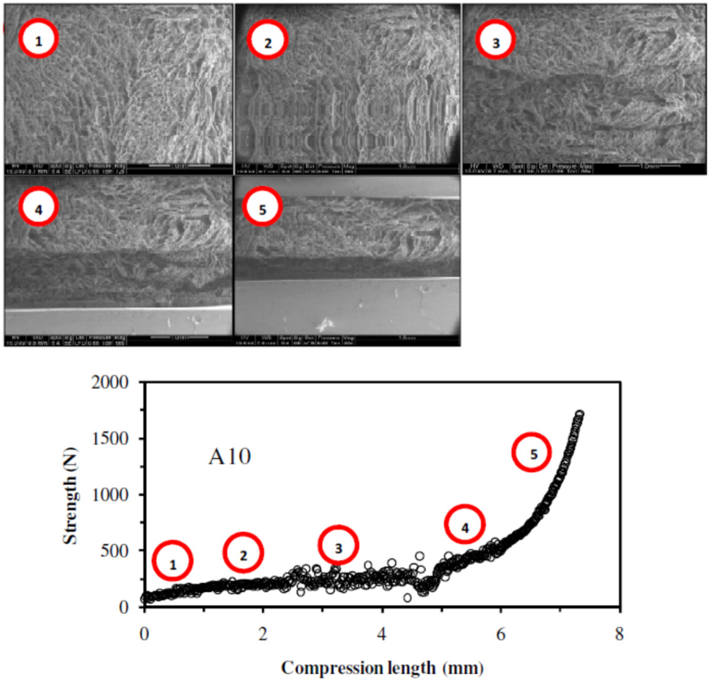 Nanomaterials 02 00031 g004 1024