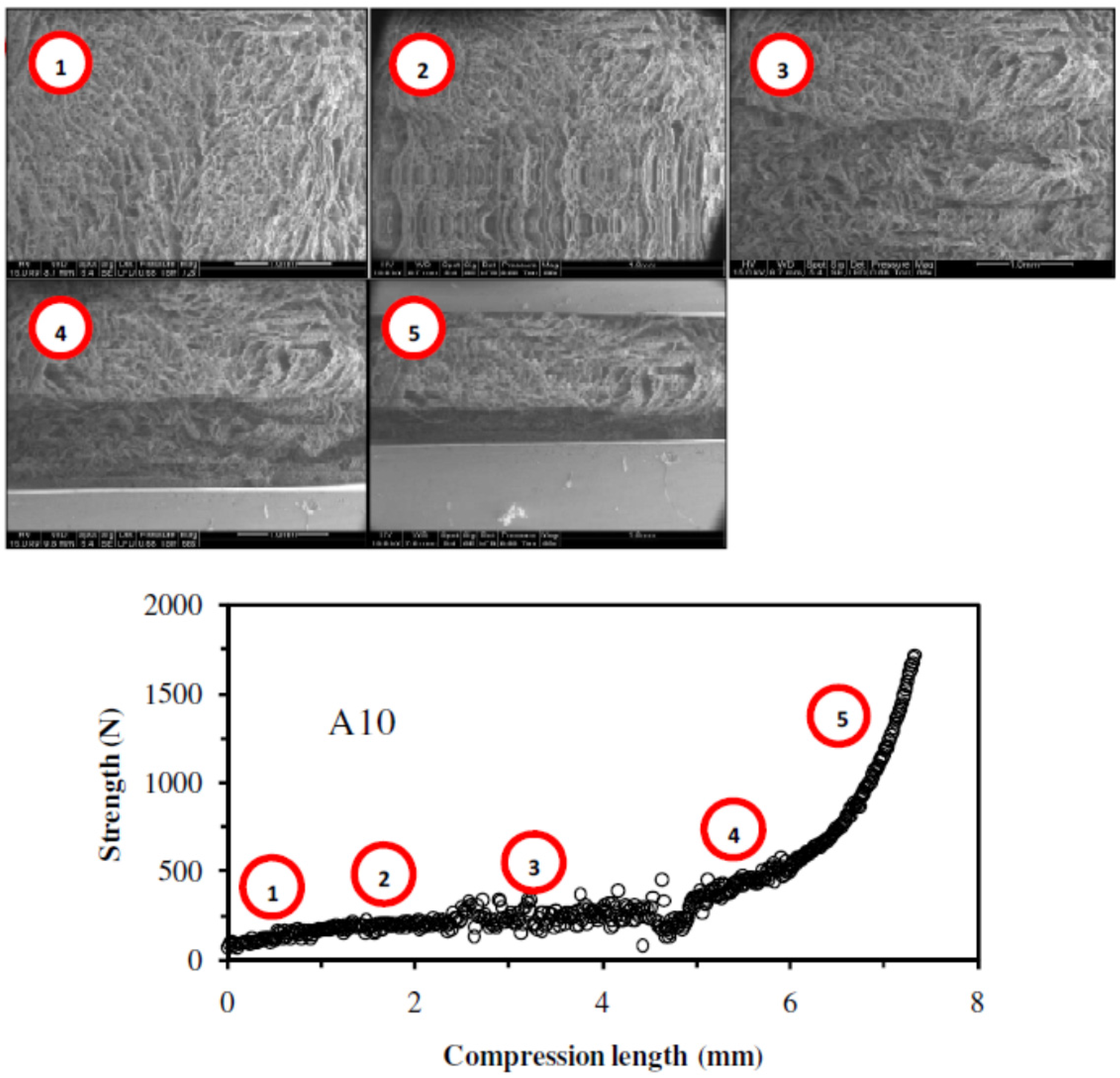 Nanomaterials 02 00031 g004