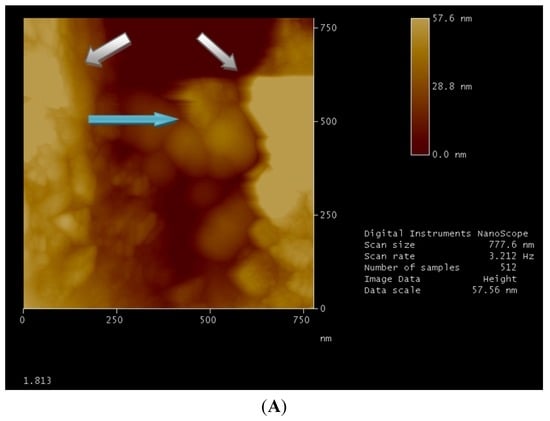 Nanomaterials 02 00079 g002a 550