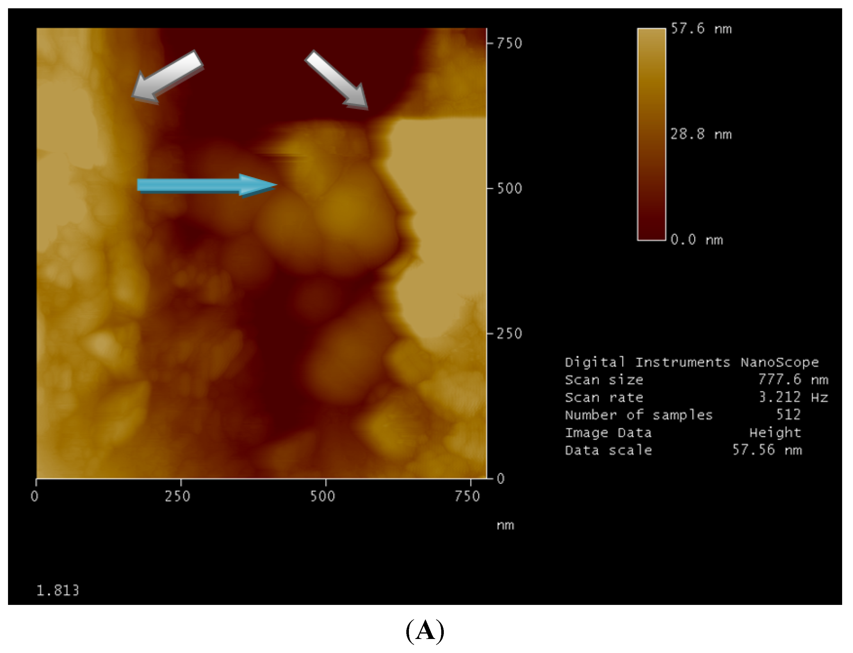 Nanomaterials 02 00079 g002a