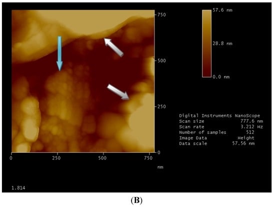 Nanomaterials 02 00079 g002b 550