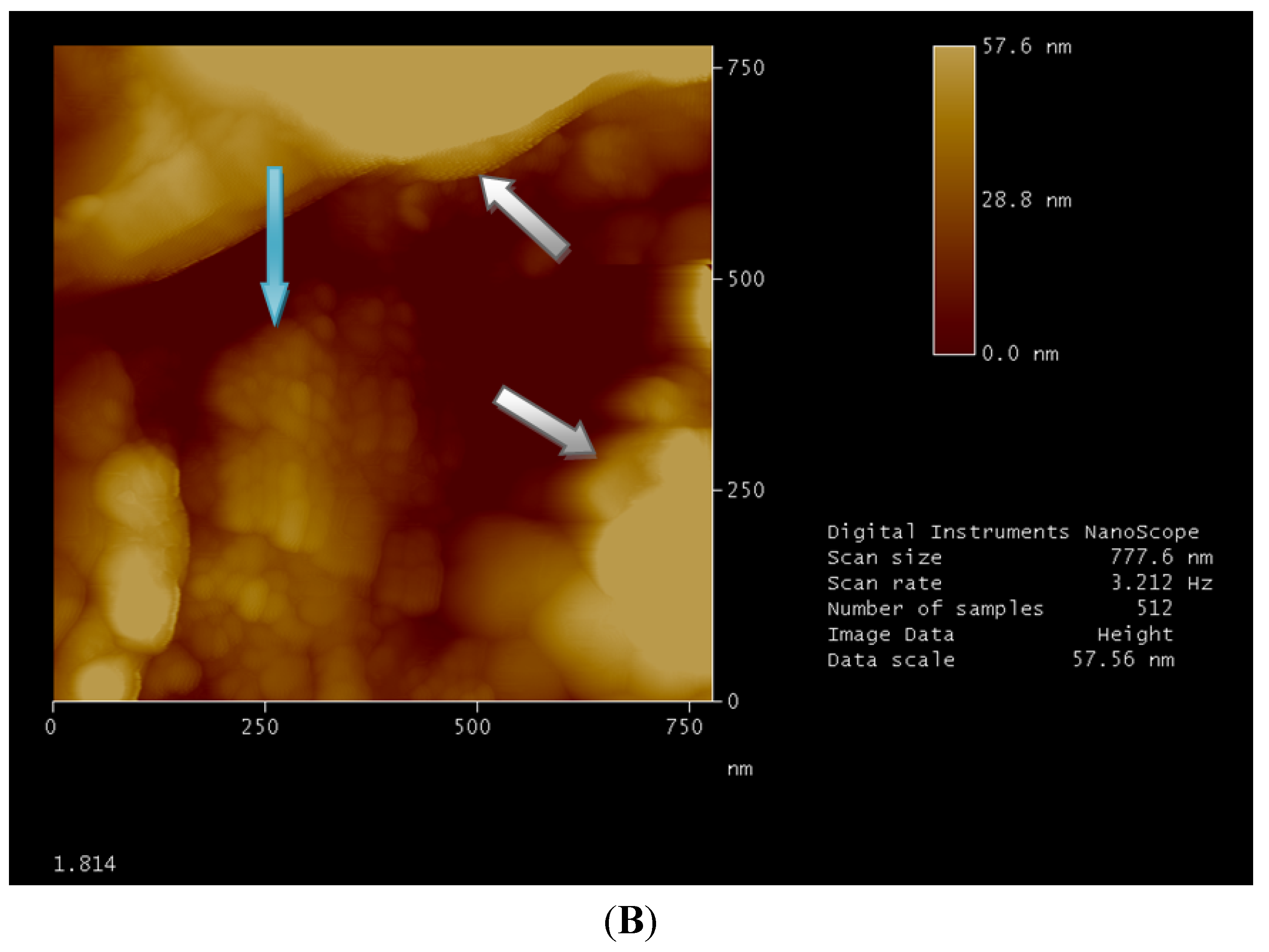 Nanomaterials 02 00079 g002b