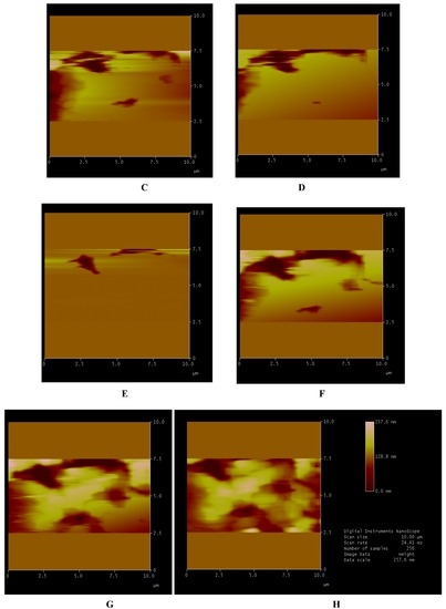 Nanomaterials 02 00079 g003b 550