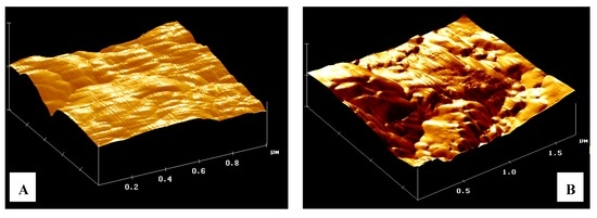 Nanomaterials 02 00079 g004b 550