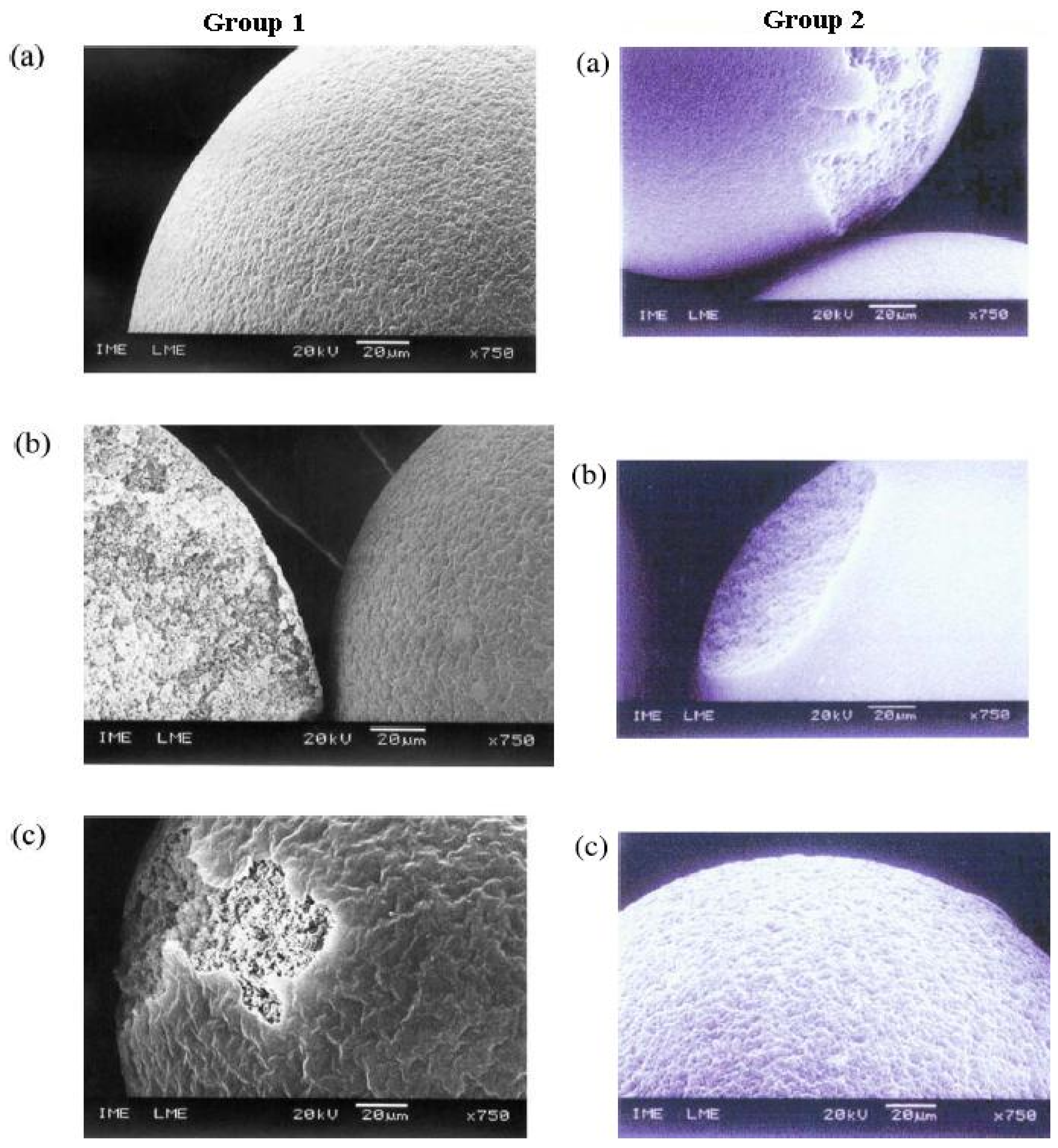 Nanomaterials 02 00163 g009
