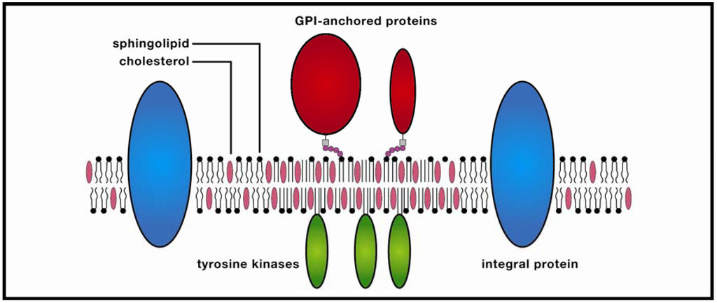 Nanomaterials 02 00217 g001 1024