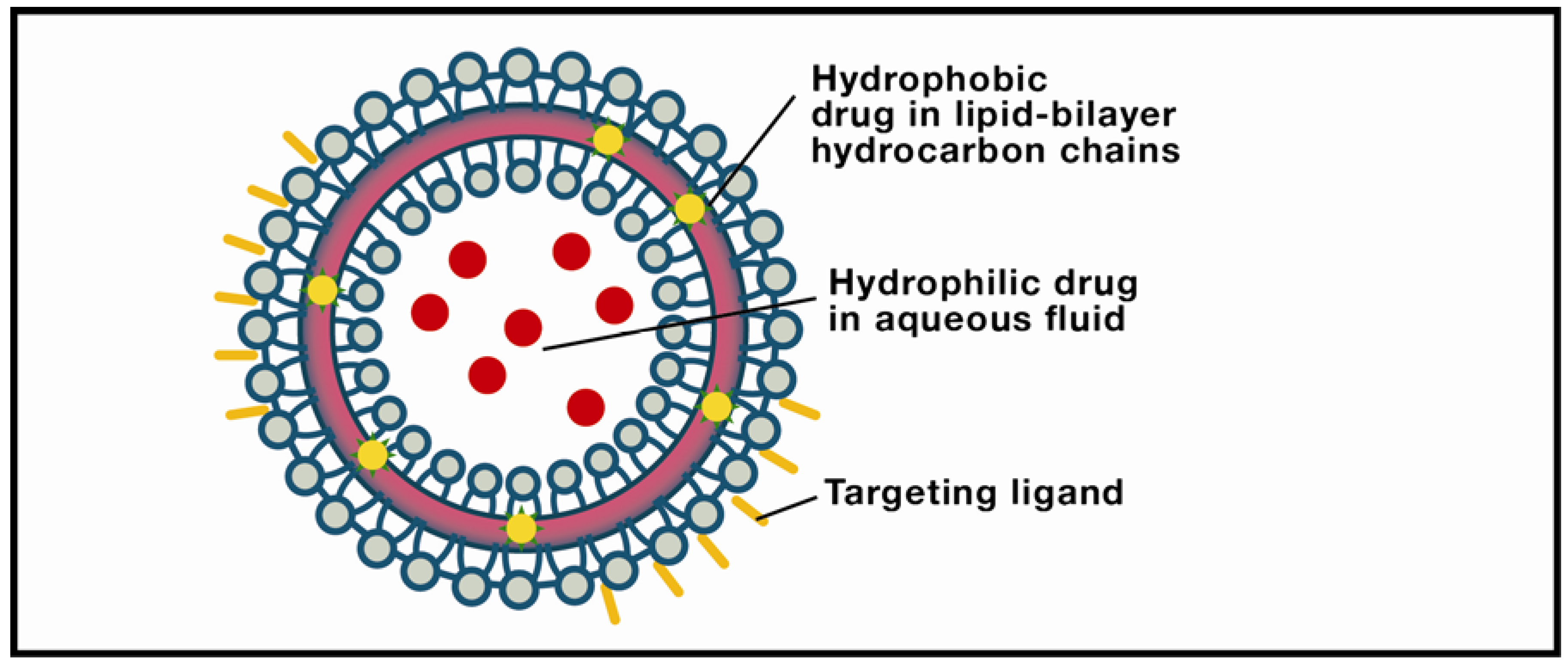 Nanomaterials 02 00217 g002