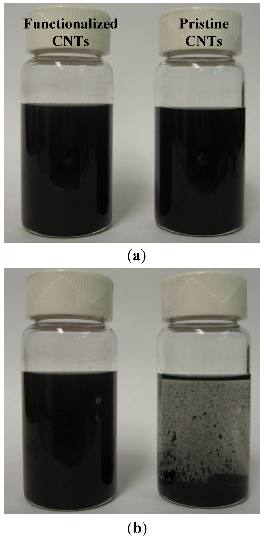 Nanomaterials 02 00329 g005 1024