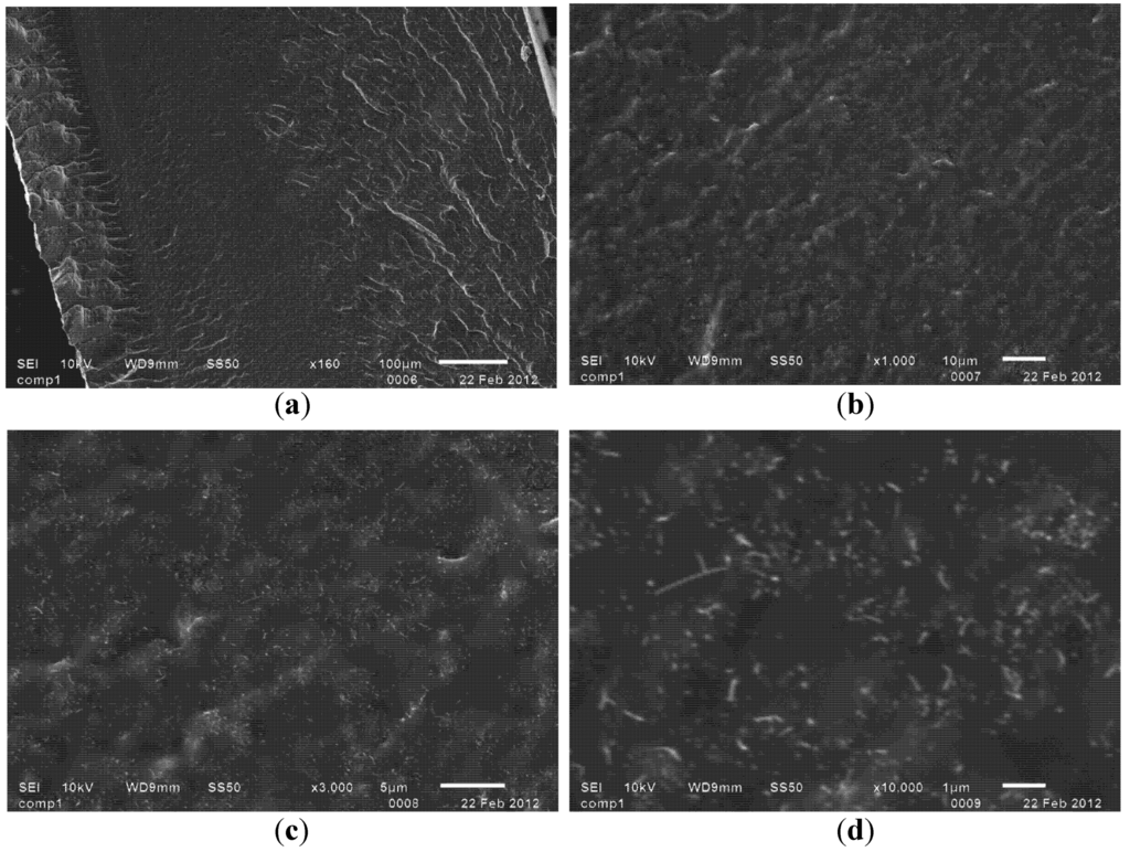 Nanomaterials 02 00329 g007 1024