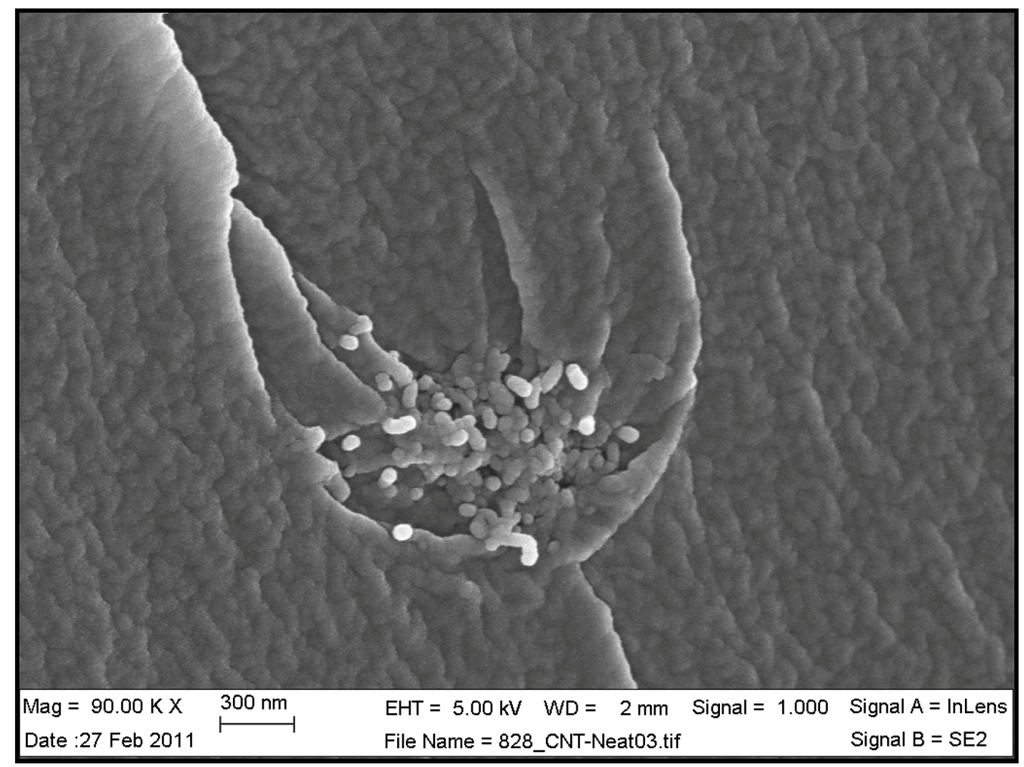 Nanomaterials 02 00348 g004 1024