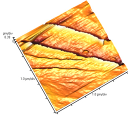 Nanomaterials 02 00348 i007