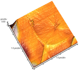 Nanomaterials 02 00348 i011