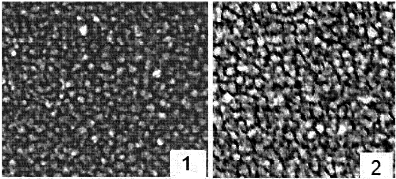 Nanomaterials 02 00366 g002