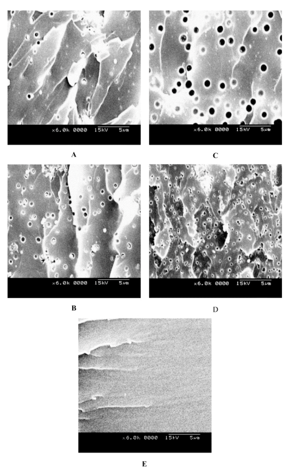 Nanomaterials 02 00445 g003 1024