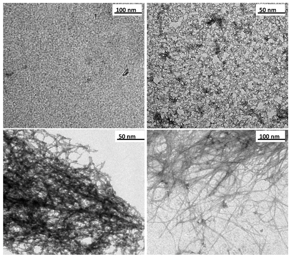 Nanomaterials 03 00126 g002 1024