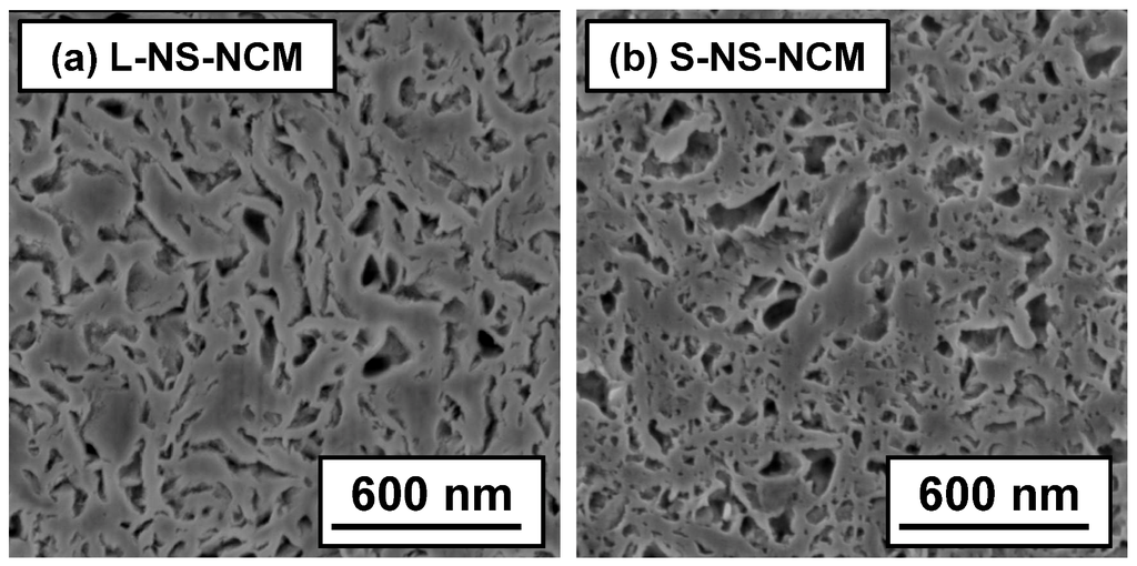 Nanomaterials 03 00204 g004 1024