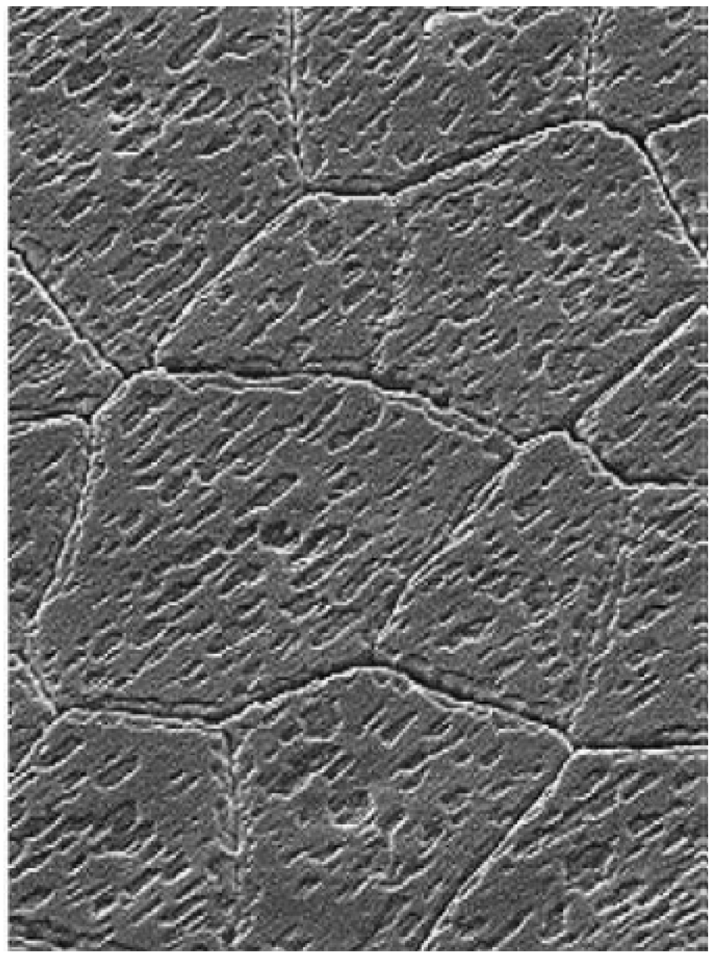 Nanomaterials 03 00242 g001 1024