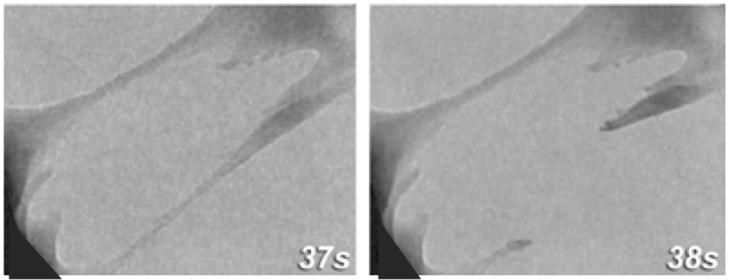 Nanomaterials 03 00242 g002 1024