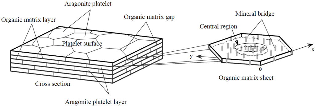Nanomaterials 03 00242 g004 1024