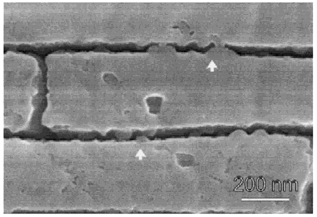 Nanomaterials 03 00242 g006 1024