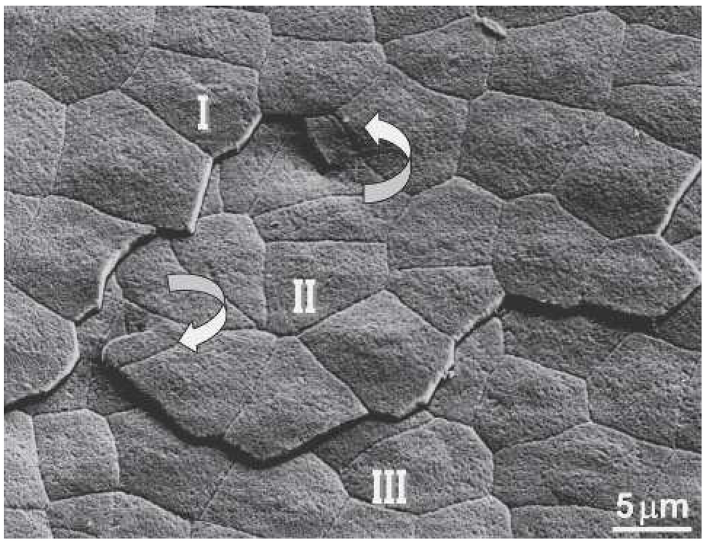 Nanomaterials 03 00242 g007 1024