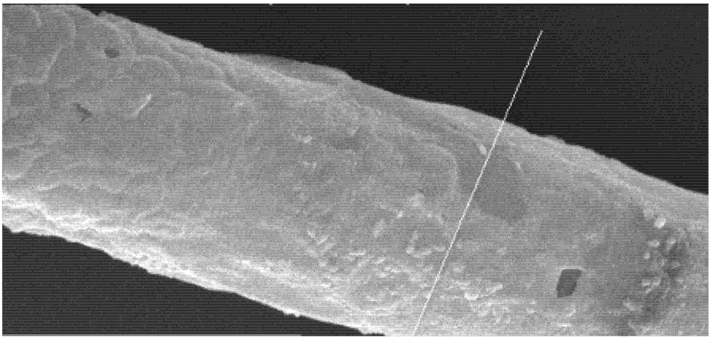 Nanomaterials 03 00242 g008 1024