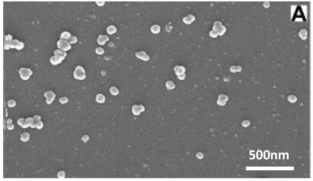 Nanomaterials 03 00242 g009 1024