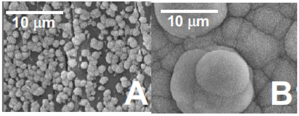 Nanomaterials 03 00242 g010 1024