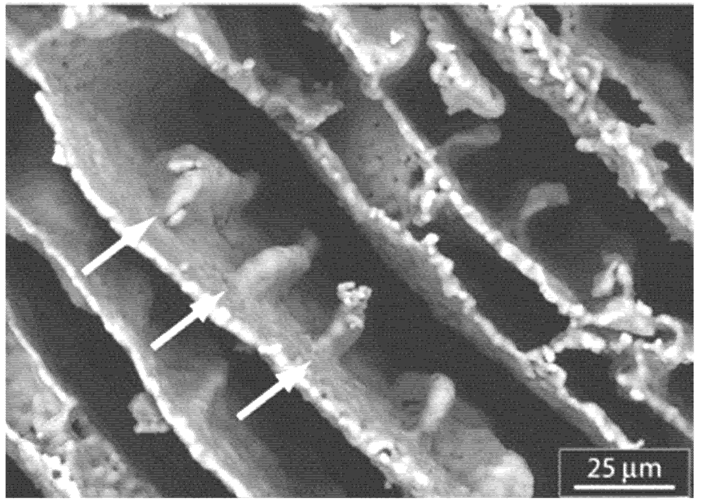 Nanomaterials 03 00242 g011 1024