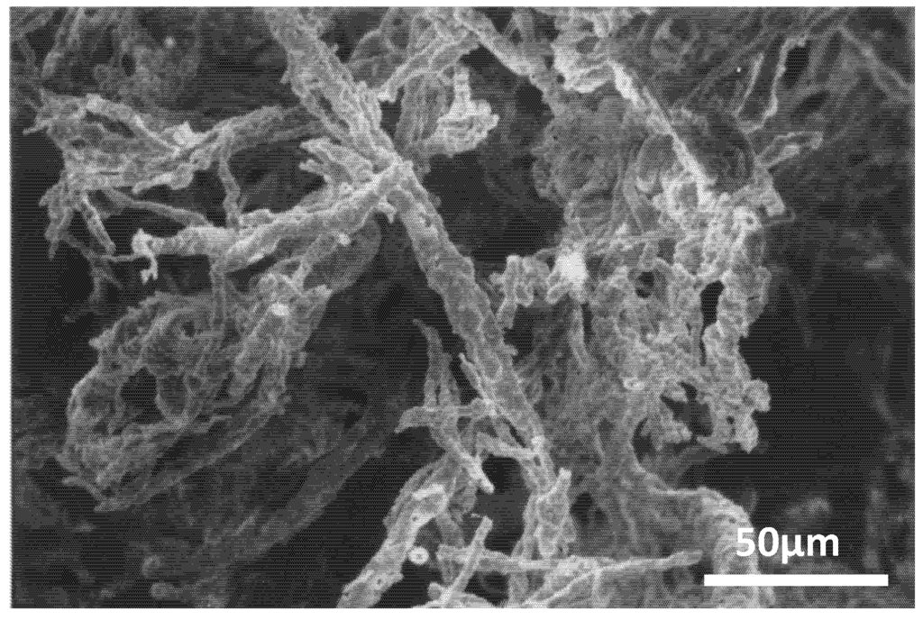 Nanomaterials 03 00242 g012 1024