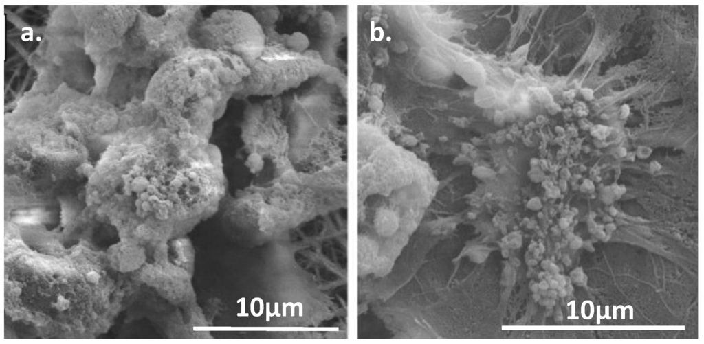 Nanomaterials 03 00242 g013 1024