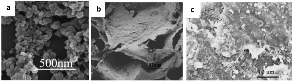 Nanomaterials 03 00242 g015 1024