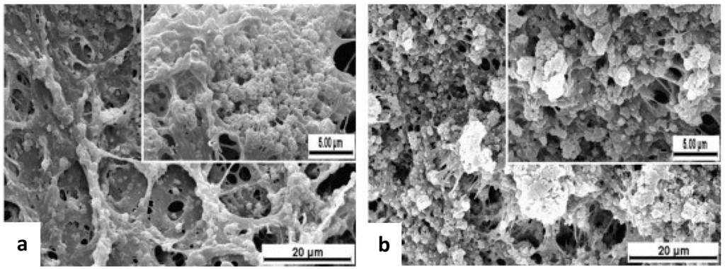 Nanomaterials 03 00242 g016 1024