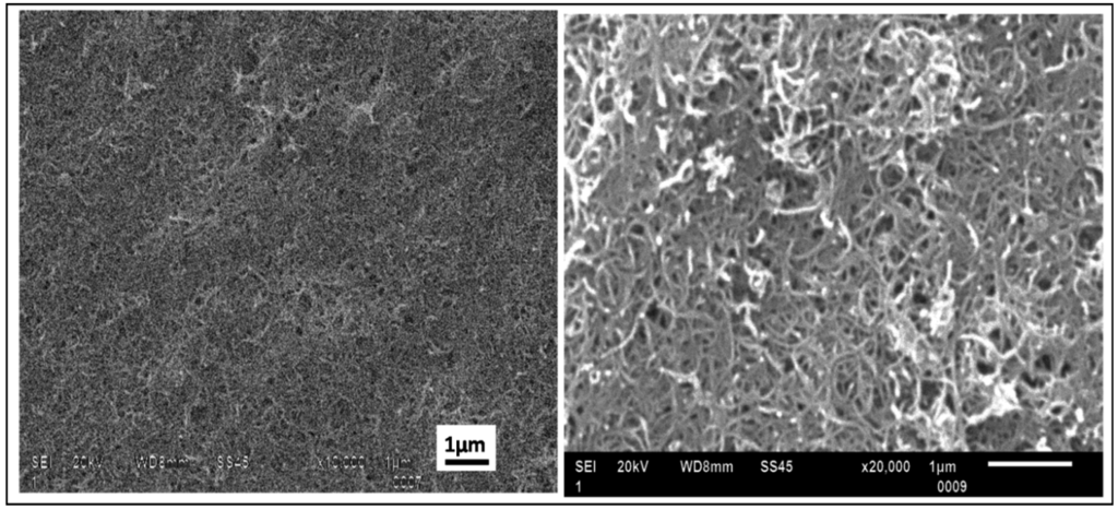 Nanomaterials 03 00272 g006 1024