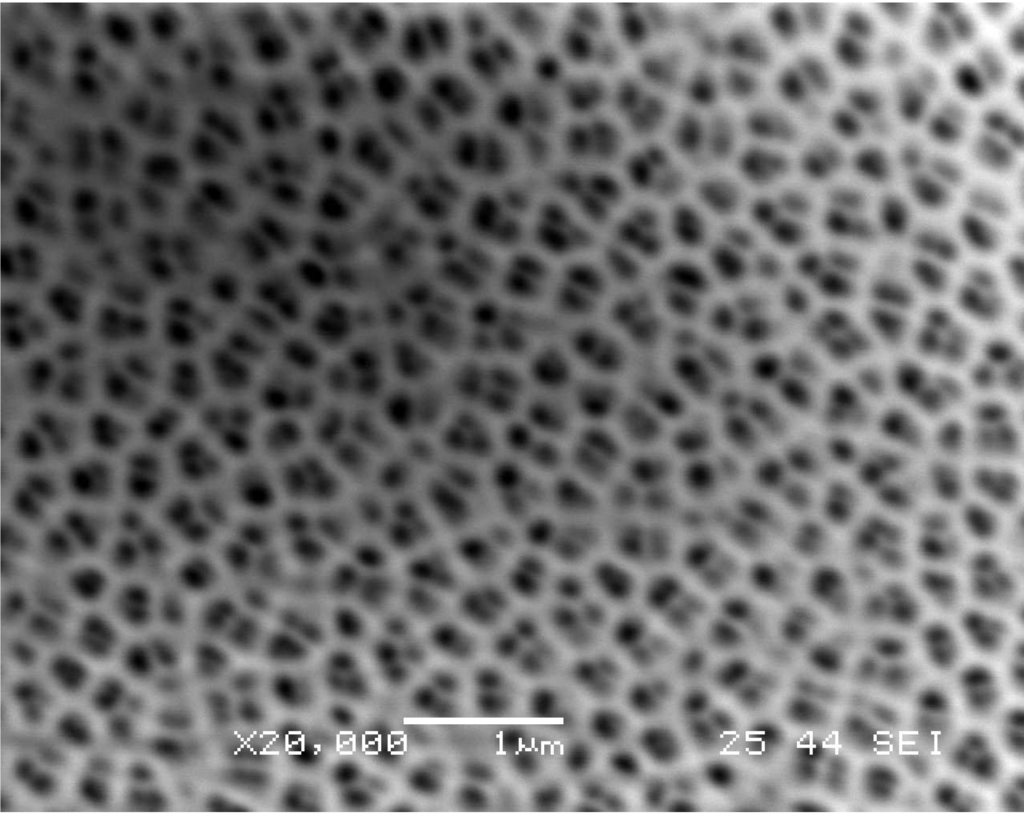 Nanomaterials 03 00592 g003 1024