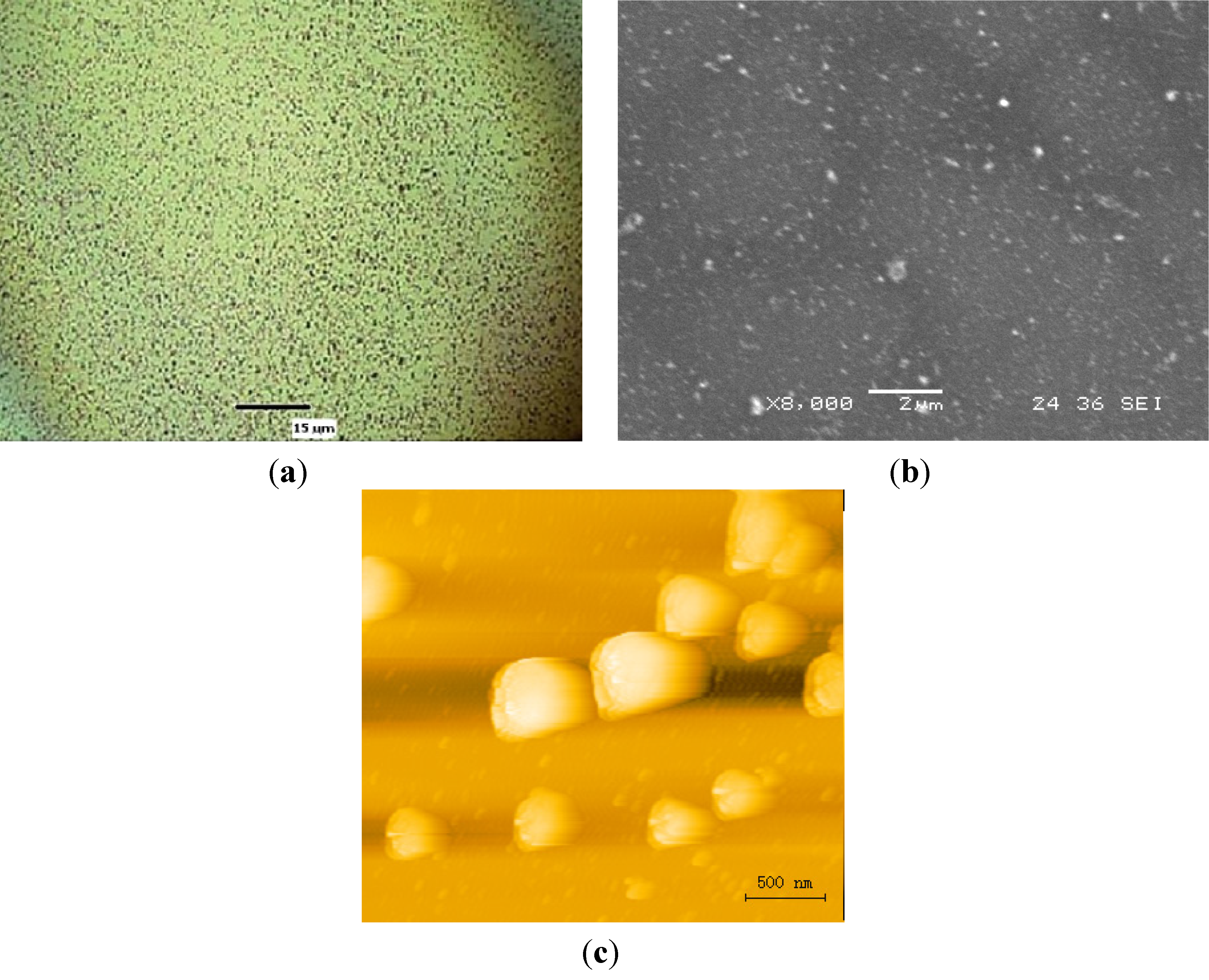 Nanomaterials 03 00592 g004