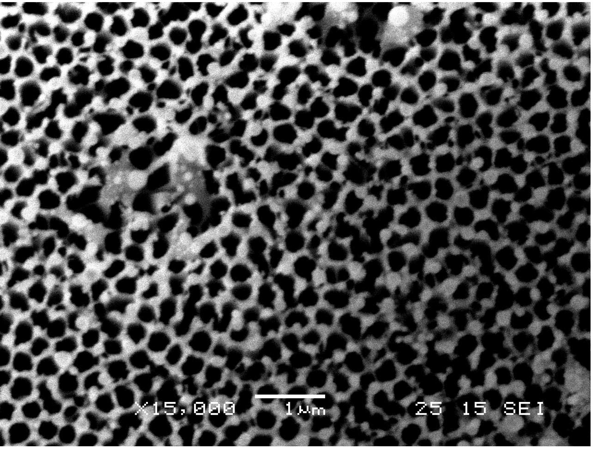 Nanomaterials 03 00592 g005