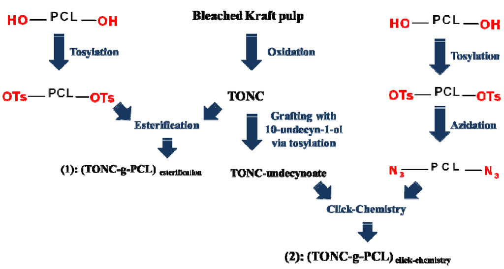 Nanomaterials 03 00638 g001 1024