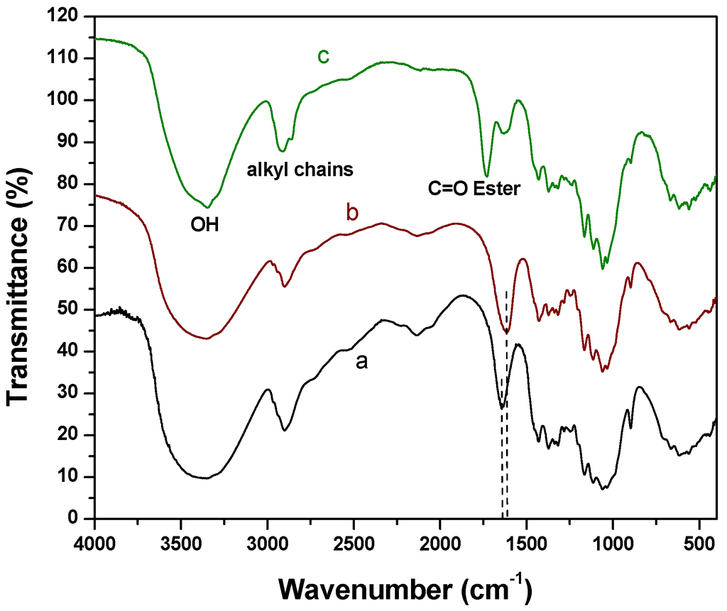 Nanomaterials 03 00638 g002 1024
