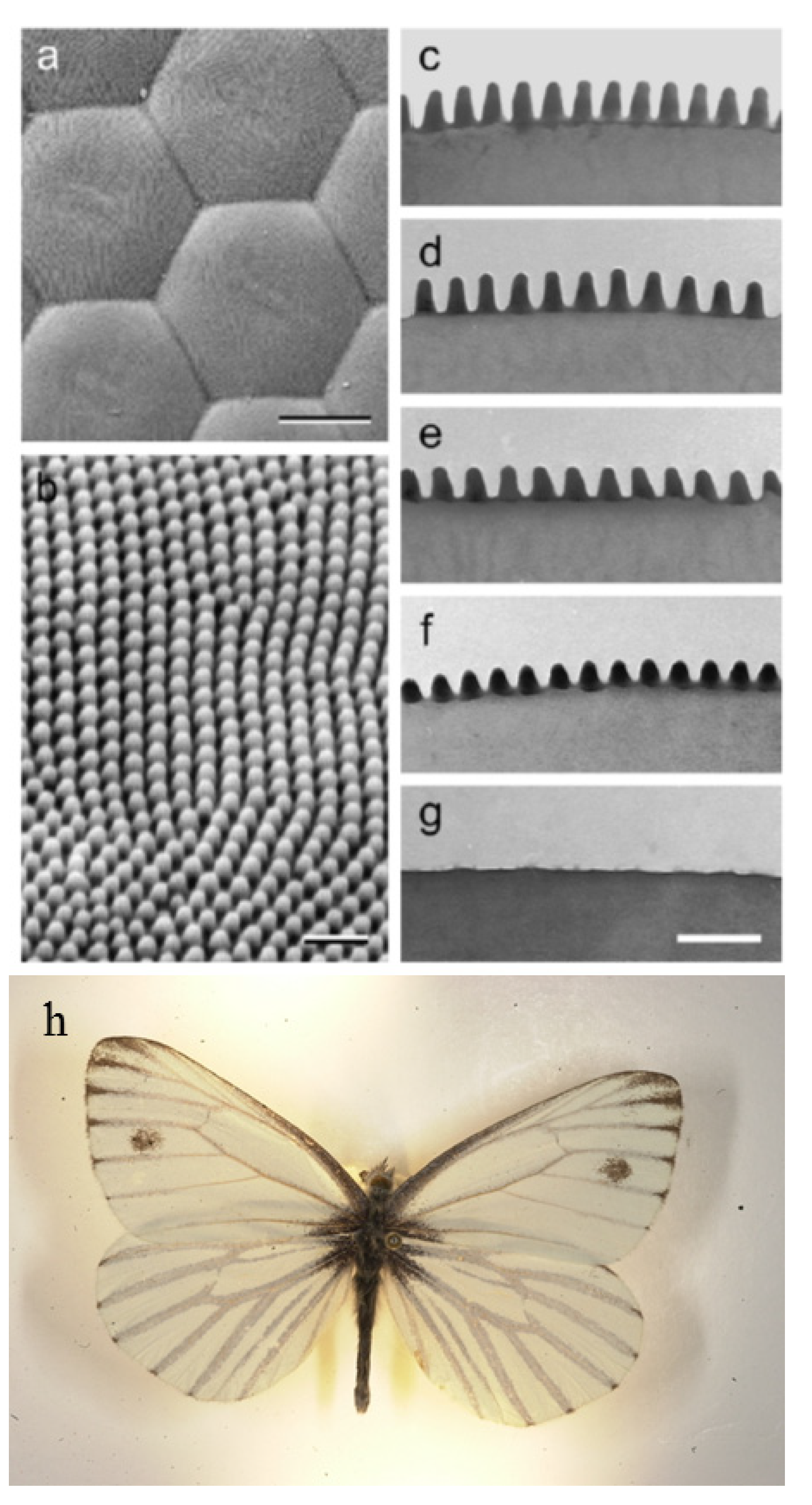 Nanomaterials 04 00087 g001