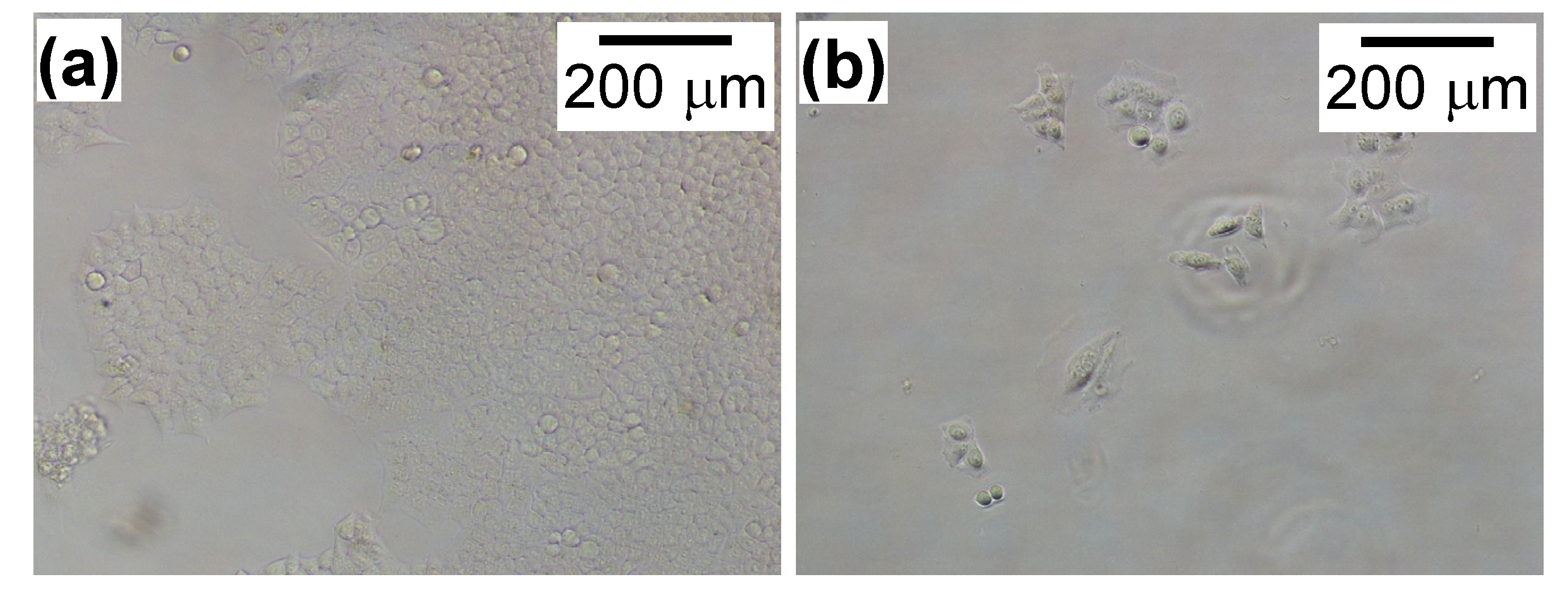 Nanomaterials 04 00319 g002